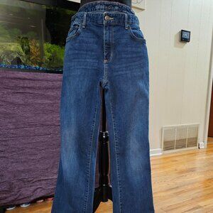 Eddie Bauer Women's Blue Jeans Size 16 Truly Straight Boot Cut